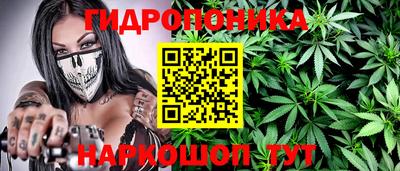 гашик Усть-Джегута